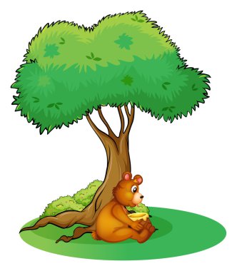 bir ağacın altında dinlenmeye ayırdığınız bir hayvan