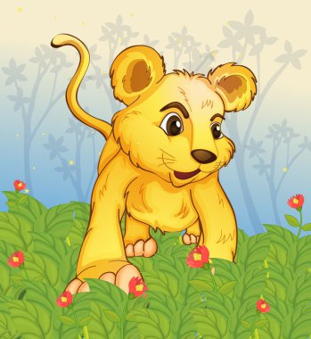 Genç kaplan ormanda