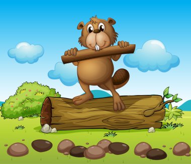 ahşap bir parça ile bir kunduz