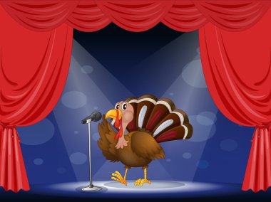 bir Türkiye'de ilgi odağı