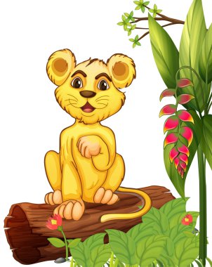 bir ormanda oturan küçük kaplan