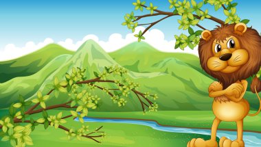 nehir içinde kızgın bir aslan