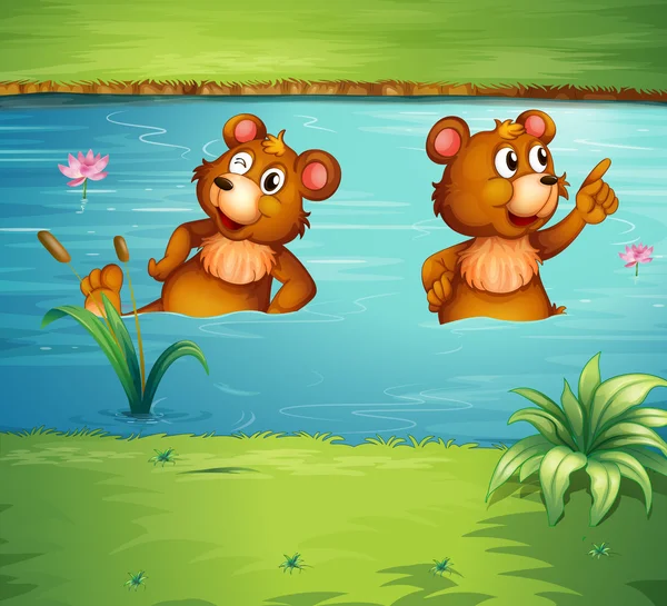 池塘里的两个动物 — 图库矢量图片