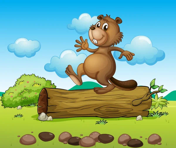 dans eden bir kunduz