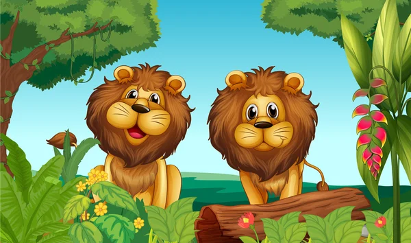 Two lions in the forest — Stock Vector