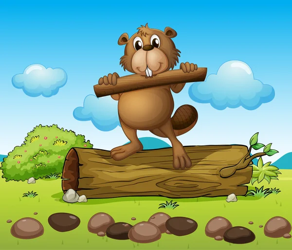 ahşap bir parça ile bir kunduz