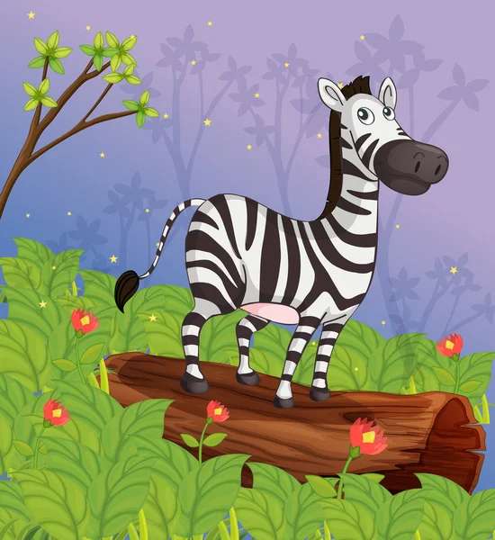 Uma zebra no jardim —  Vetores de Stock