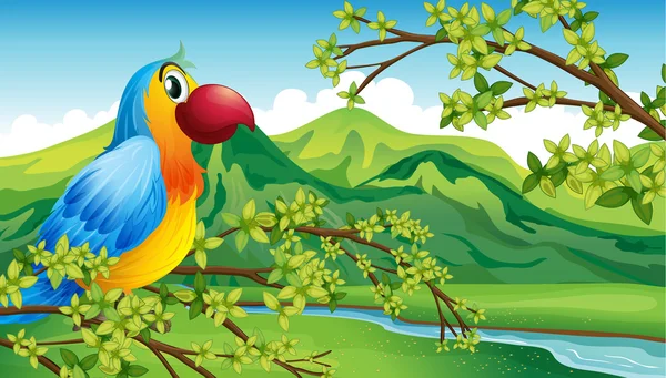 Un loro en una rama de un árbol — Vector de stock