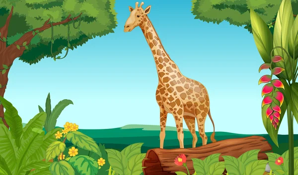 A giraffe in the forest — Stock Vector