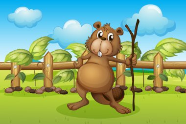 bir sopa tutan bir kunduz