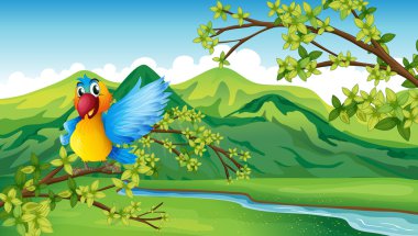 Nehri yakınında bir papağan