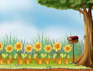 Bir kuş evi olan bir Bahçe