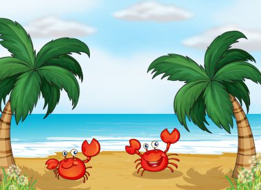 Crabs in the seashore clipart