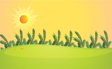 çok parlak bir güneş