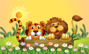 Aslan ve kaplan