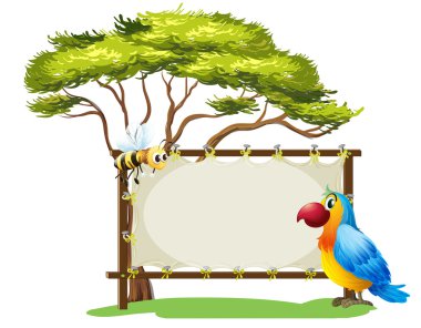 bir papağan ve arı