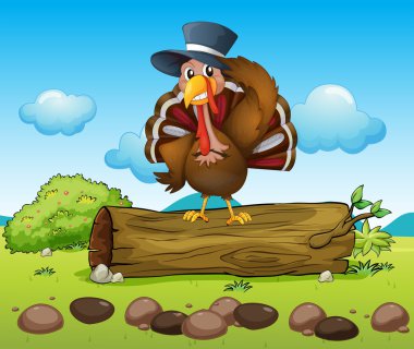 Kuru bir ağaç üzerinde bir kuş duran