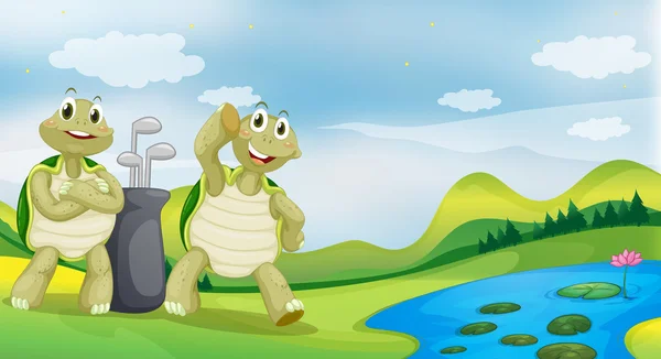 Dos tortugas cerca del río — Archivo Imágenes Vectoriales