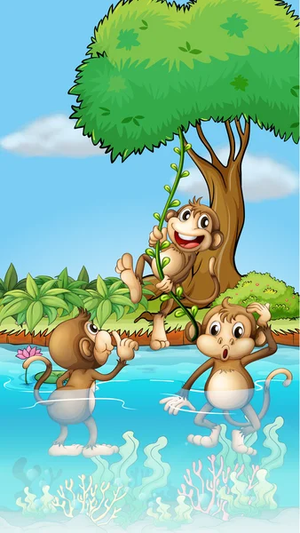 Three monkeys playing — Stock Vector