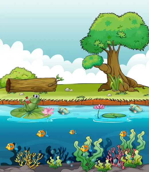 Une grenouille et des poissons dans la rivière — Image vectorielle