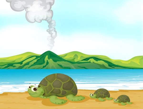 A volcano beach and turtles — Stock Vector