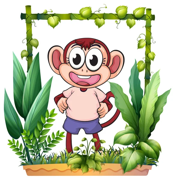 A monkey with a pink shirt — Stock Vector