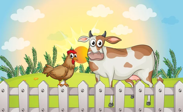Une vache et un coq — Image vectorielle