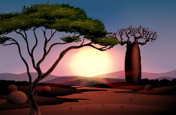 bir ağaç ve güzel bir manzara