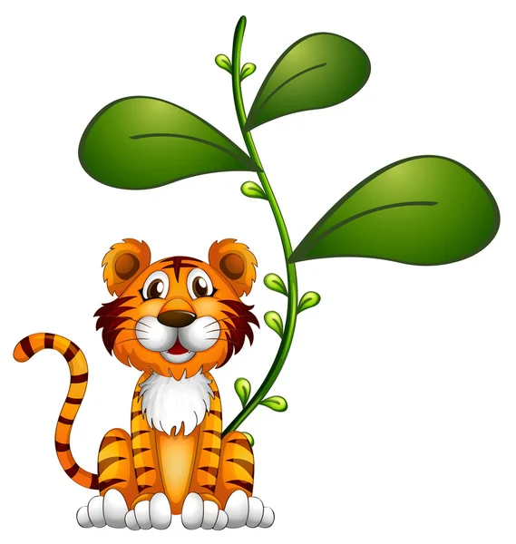 A tiger beside a vine — Stock Vector