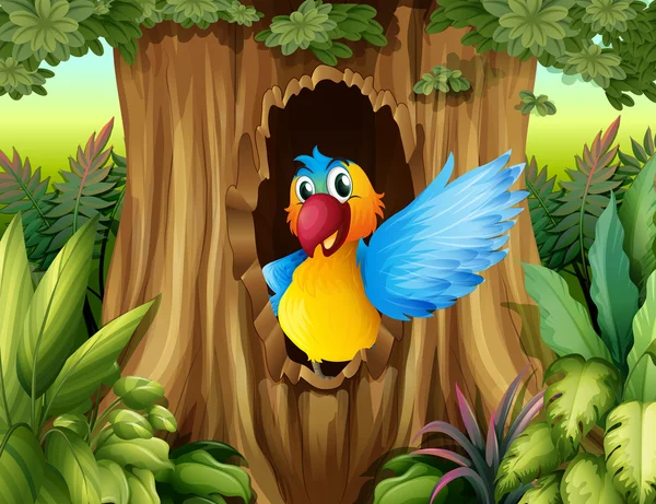 Un pájaro en un hueco de árbol — Vector de stock