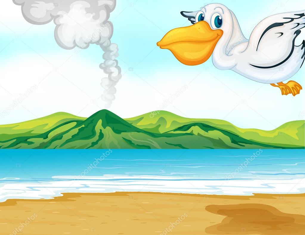 A volcano beach and a flying bird