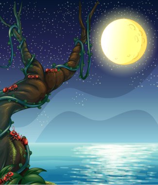 parlak ay ve büyük ağaç