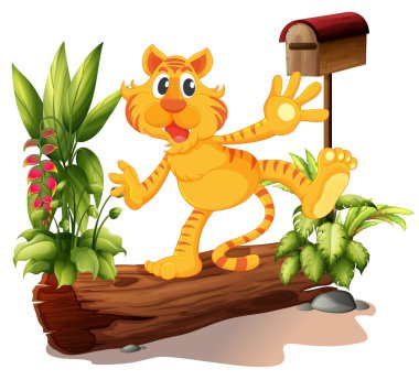 Garden posta kutusu olan bir genç kaplan