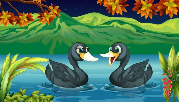 Dos patos en el río — Vector de stock