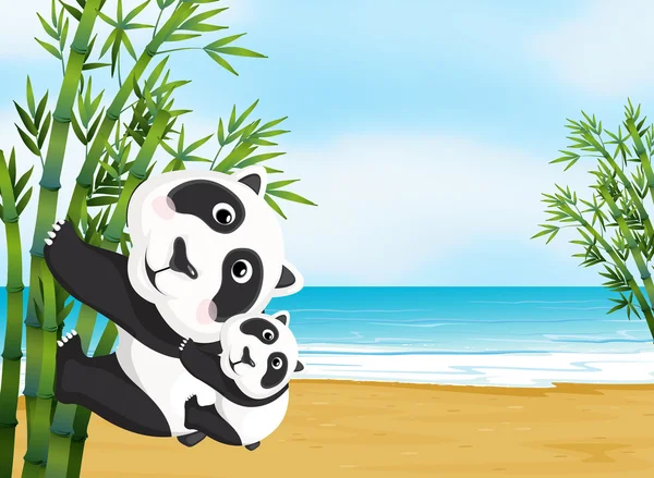 En mor och en baby panda — Stock vektor