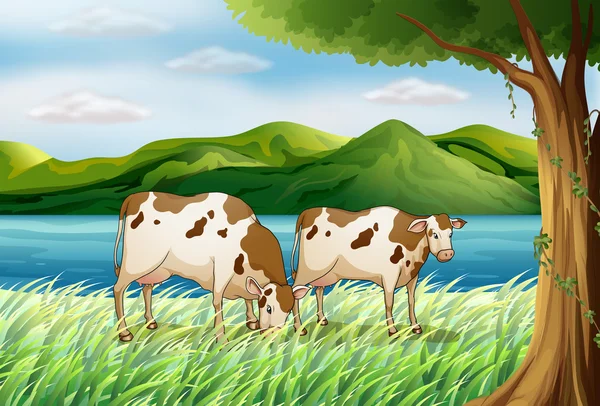 Eine Kuh und eine wunderschöne Landschaft — Stockvektor