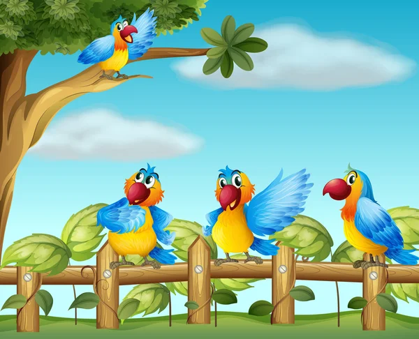 Papagaios coloridos no jardim cercado —  Vetores de Stock