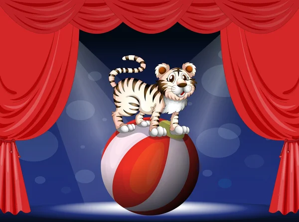 A tiger performing at the circus — Stock Vector