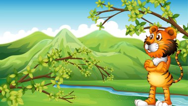 Kaplan Dağı yakınlarında