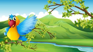 dağın üzerinde renkli bir kuş