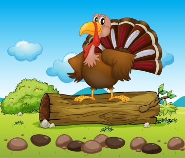 Türkiye'de ayakta bir tahta üzerinde