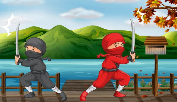 Zwei Ninjas — Stockvektor