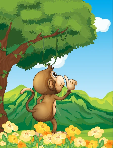 A monkey wondering in the forest — Stock Vector