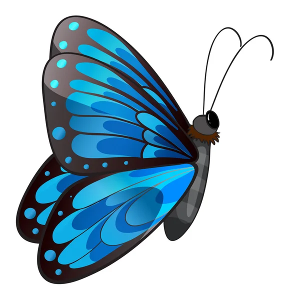 A blue butterfly — Stock Vector