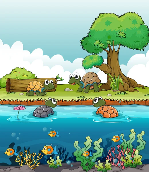 Ένα ποτάμι και ένα χαμογελαστό χελώνες — Διανυσματικό Αρχείο