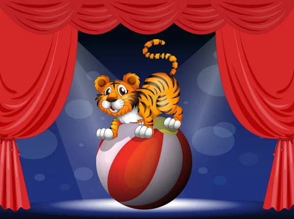 En tiger i en cirkus — Stock vektor
