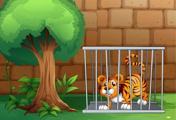 A tiger in a cage — Stock Vector