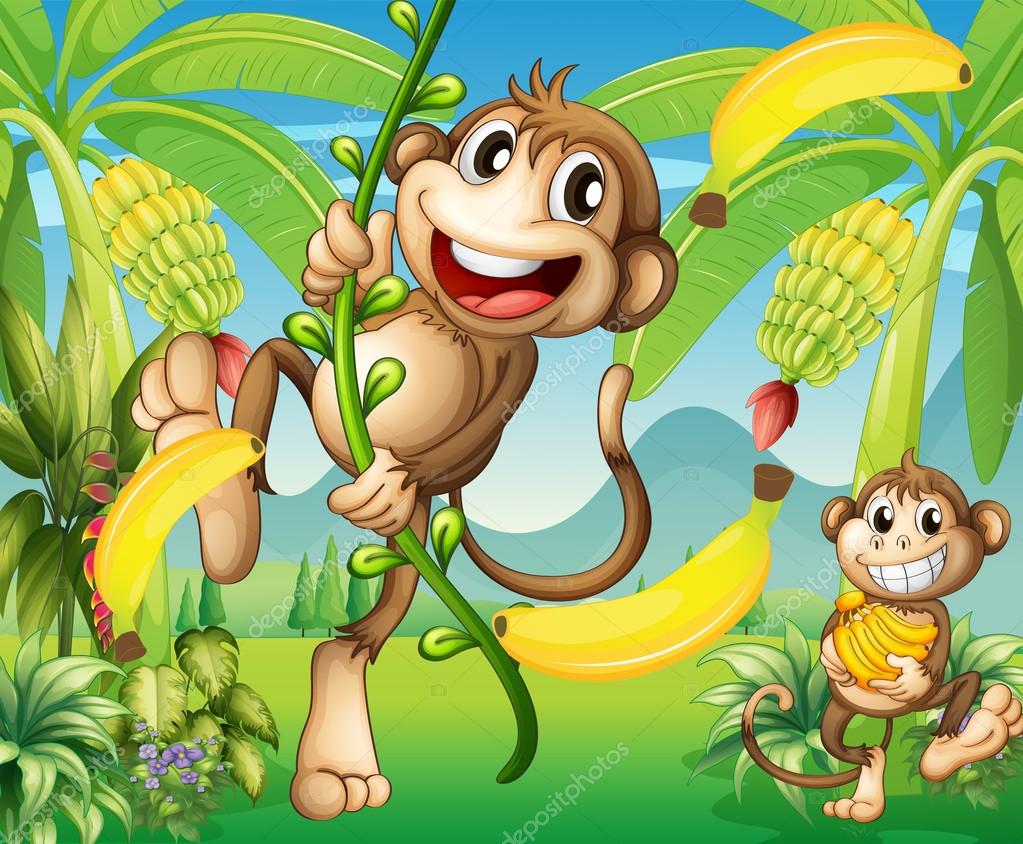 Two monkeys near the banana plant Stock Vector Image by ©interactimages #20172809 Two monkeys near the banana plant Stock Vector Image by ©interactimages #20172809