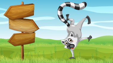 vahşi bir hayvan yanında ahşap tabela