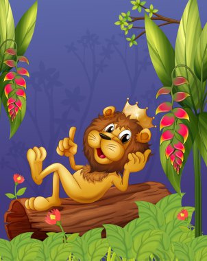 bir kral bir bagaja yatan aslan